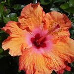 Profile Picture of taylor😜🐵 (@taylor_chaney_photography12) on Instagram