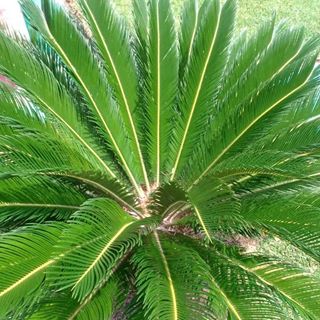 Profile Picture of J Angel Bartolo Fuentes (@jangel.bartolofuentes) on Facebook