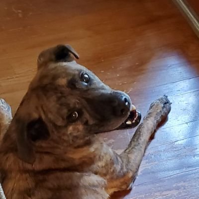 Profile Picture of Brandon Hines (@MarlonHinz) on Twitter