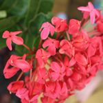 Profile Picture of Stacy Grant (@stacygrant2020) on Instagram