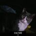 Profile Picture of John Helfer (@john.helfer.10) on Facebook