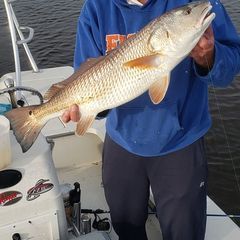 Profile Picture of James Lehman (@@jameslehman08) on Tiktok