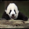 Profile Picture of Rory Fitzpatrick (@@mitzi11228) on Tiktok