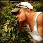 Profile Picture of Scott Dyer (@dyerscott550) on Instagram