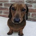 Profile Picture of Alexander Chang (@ney.tenn) on Instagram