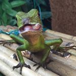 Profile Picture of Thomas Nancarrow (@thomasnancarrow94) on Instagram