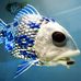 Profile Picture of Sean Bruner (@sean.bruner.33) on Facebook