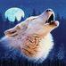Profile Picture of Tim Studer Wolfpack (@tim.studer.98) on Facebook