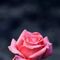 Profile Picture of Dadacho Dolemo (@Dadacho-Dolemo) on Facebook