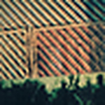 Profile Picture of Efrain Lopez (@Life Aliveee) on Flickr