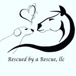 Profile Picture of Catherine Rupp (@rescued_byarescuellc) on Instagram