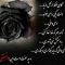 Profile Picture of Arezo Omidvar (@malake.sarvar.5) on Facebook