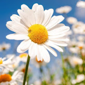 Profile Picture of Lindsay O’Neal (@lindsayoneal1290) on Youtube