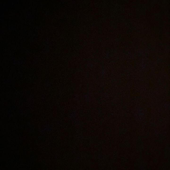 Profile Picture of Carlie Taylor (@@carlietaylor) on Tiktok