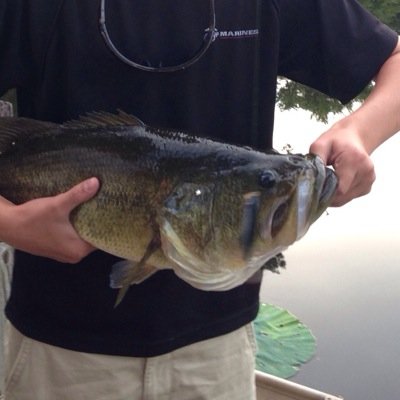 Profile Picture of Matthew Allsup (@matthewallsup34) on Twitter