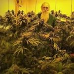 Profile Picture of michael parker (@bigmike420420.mp) on Instagram