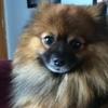 Profile Picture of Debbie Bashore (@@debbiebashore) on Tiktok