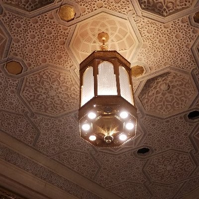 Profile Picture of Sened سند Dazdarevic (@SenadDazdarevic) on Twitter