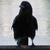 Profile Picture of Robert McMorran (@robertmcmorran7852) on Youtube