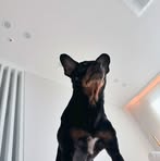 Profile Picture of Clint Carrey (@Clint-Carrey) on Facebook