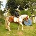 Profile Picture of Benjamin Castillo (@benjamin.castillo.7370013) on Facebook