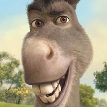 Profile Picture of Lisa_bro (@Lisabro5) on Twitter