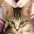 Profile Picture of Troy Maynard (@troymaynard) on Pinterest