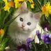 Profile Picture of Cem Ekinci (@cem.ekinci.986) on Facebook