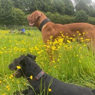 Profile Picture of Kelly Storey (@kelly.storey0211) on Instagram