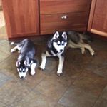 Profile Picture of Michael McCrea (@mike.mccrea_) on Instagram