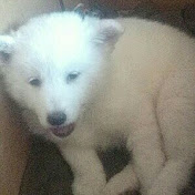 LA CASITA DEL MAGO VALDIVIA - Youtube Profile Picture of LA CASITA DEL MAGO VALDIVIA (@lacasitadelmagovaldivia9985) on Youtube