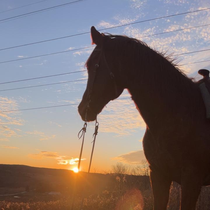 Profile Picture of Kyle Hearn (@khearn270) on Tiktok