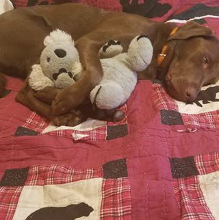 Profile Picture of CraigCindy Regan (@craigcindy.regan) on Facebook