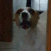 Profile Picture of Paul Birner (@paulbirner9715) on Youtube