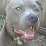 Profile Picture of Jeremy Burleson (@jeremyburleson8466) on Youtube