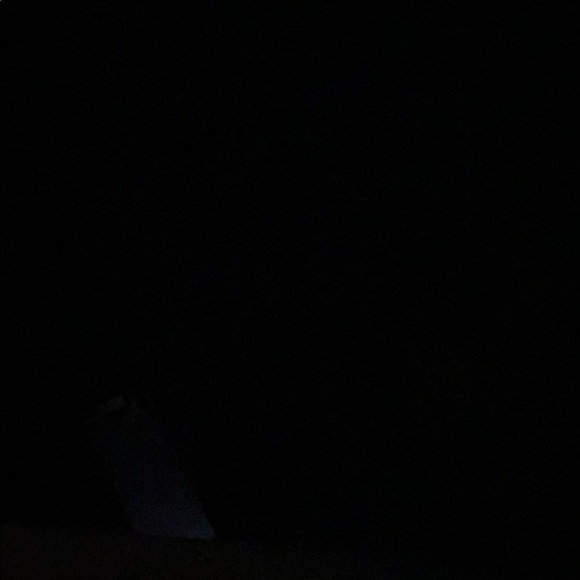 Profile Picture of Daniella Colangelo (@dannjefros) on Poshmark