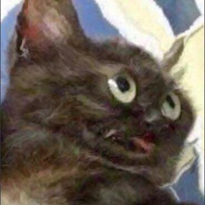 Profile Picture of CoryBaxter (@CoryBax28355372) on Twitter