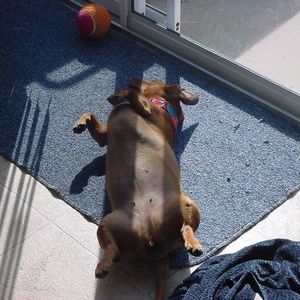 Profile Picture of Mark Shoaf (@levisplace) on Myspace