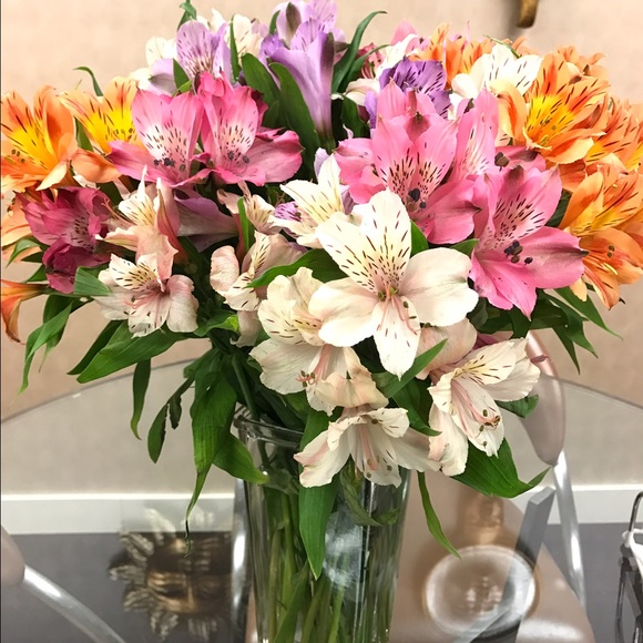 Profile Picture of Jin Lin (@bargainnews) on Poshmark