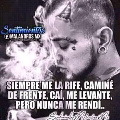 Profile Picture of Jorge Luis Alameda Rojas (@alameda_rojas) on Twitter