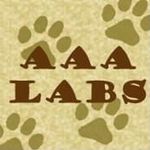 Profile Picture of Wallee Kennels AAA Labs (@walleekennels_aaalabs) on Instagram