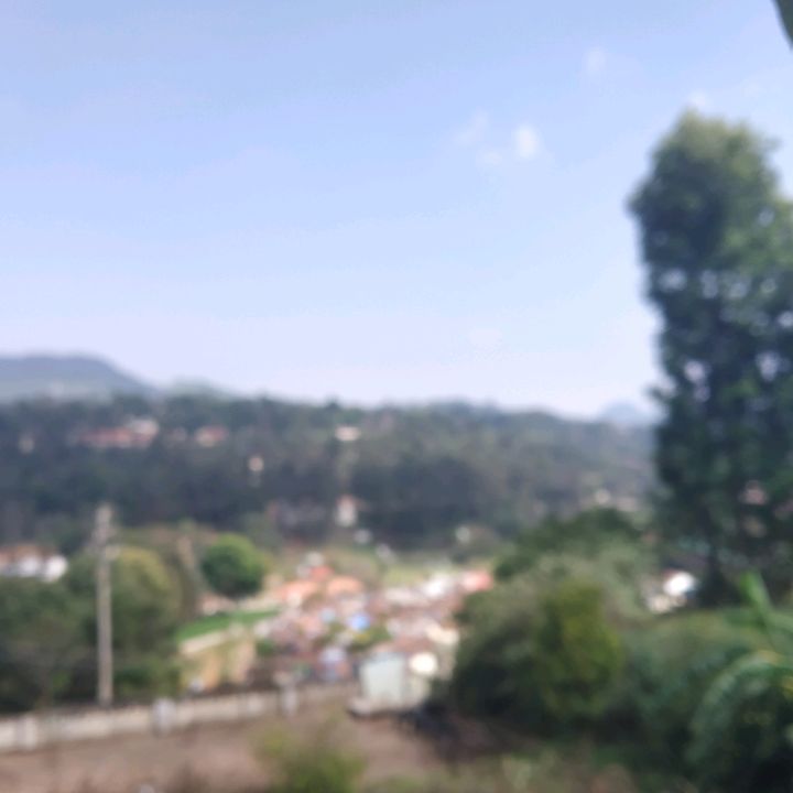 Profile Picture of myskin_mode (@buddy_trip) on Tiktok