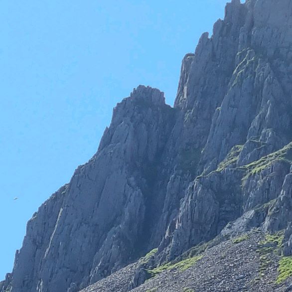 Profile Picture of Richard (@richardrics) on Tiktok