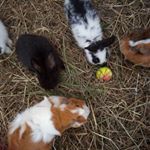 Profile Picture of Thomas Friedemann (@thomas.friedemann.37) on Instagram