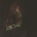 Profile Picture of April Lennox (@lennox7373) on Instagram