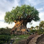 Profile Picture of Michael Ventresca (@contenttv1) on Instagram