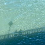 Profile Picture of goebelbecker (@goebelbecker) on Instagram