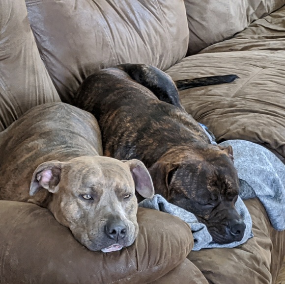 Profile Picture of Shannon Curths (@shannoncurths) on Poshmark