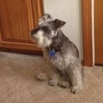 Profile Picture of William Zachary Andersen (@william.andersen.7509) on Instagram