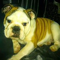 Profile Picture of Larry Schurr (@larry-schurr) on Quora